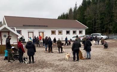 Händer på Drömgården